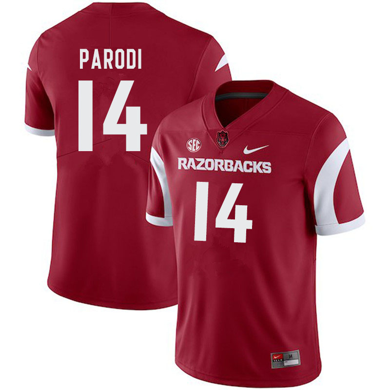 Men #14 Nathan Parodi Arkansas Razorbacks College Football Jerseys-Cardinal